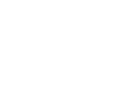 Pitsche Kran